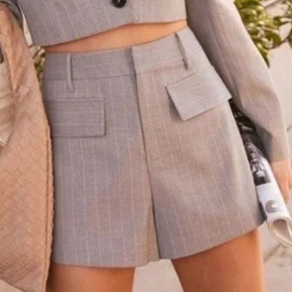 🩶 VICI Posh Preview Pinstripe Shorts Grey Small S